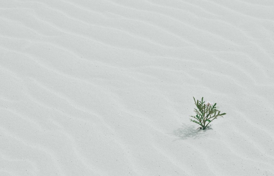 Reversing Assumptions | A Useful Creativity Technique