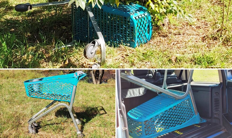 The Curious Story of a Checkers Trolley at the River