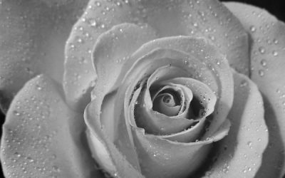 Colour Doesn't Exist - We Live In A World Of Black And White