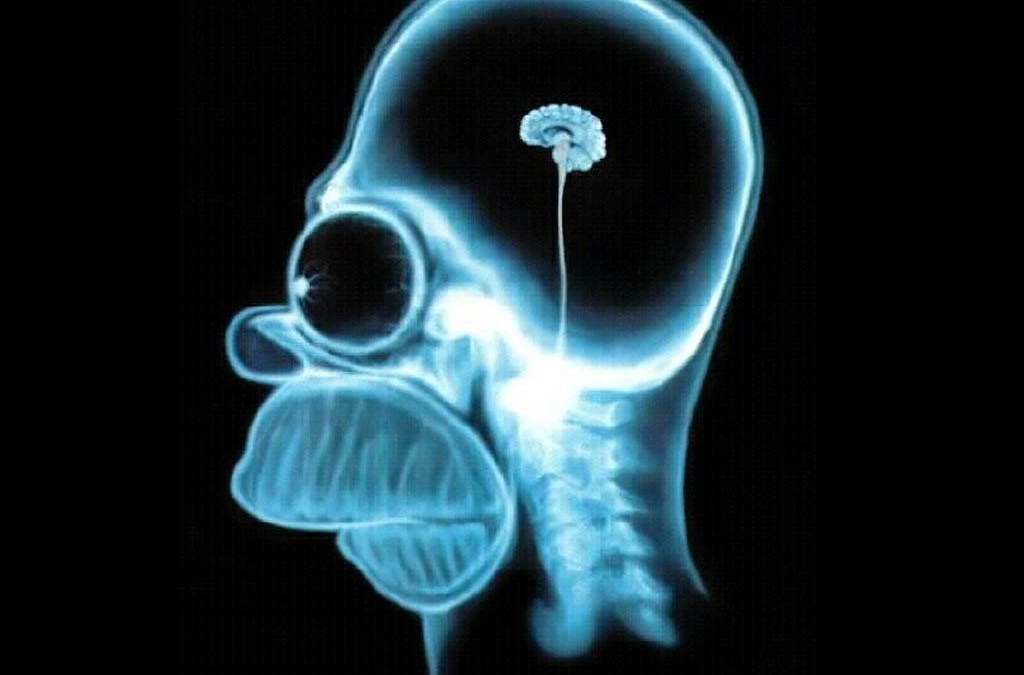 Are We As Smart As We're Ever Gonna Be?