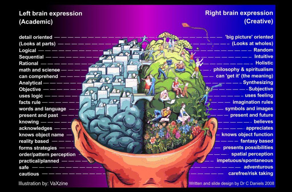 The Theory of Left Brain and Right Brain isn't what you think it is