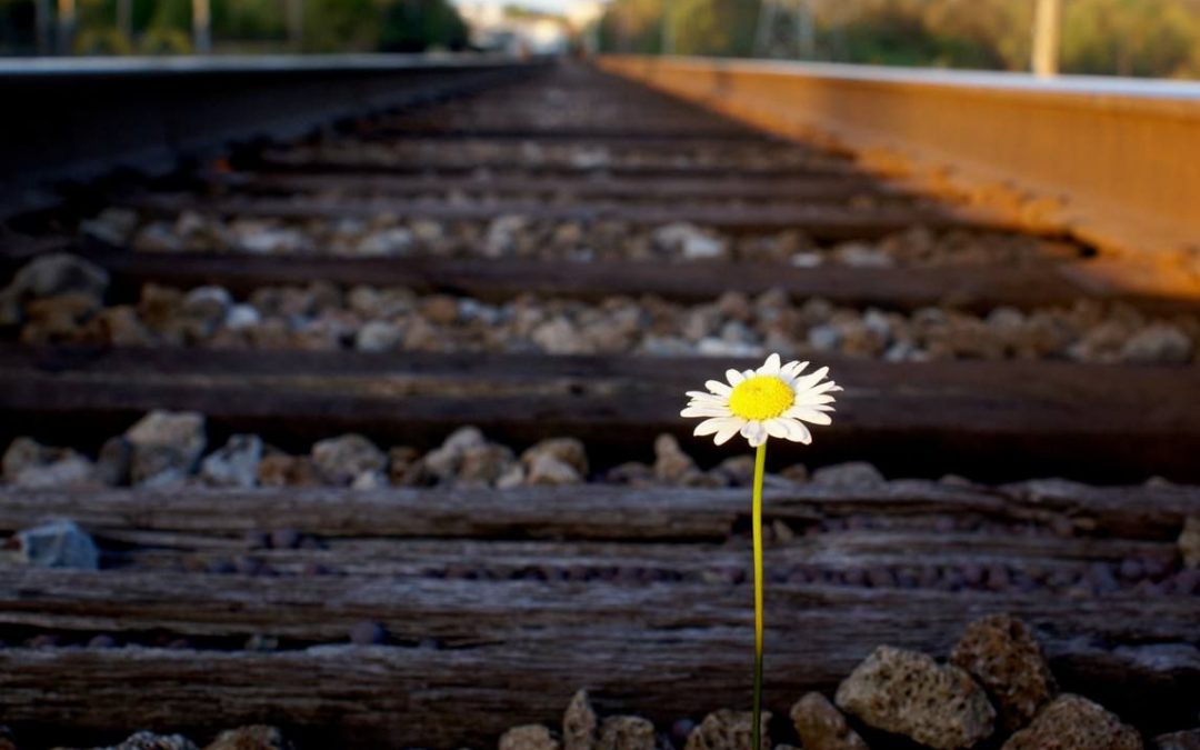 How Embracing Your Constraints Can Improve Your Creativity